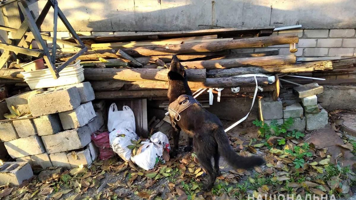 В Днепре собака нашла в доме у пары оружие и наркотики