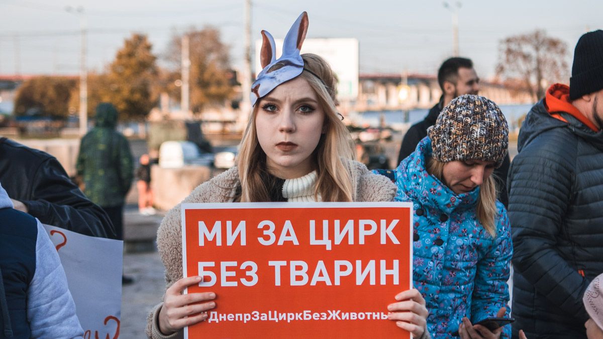 "Папа, я не хочу в цирк": в Днепре сотни людей вышли против издевательства над животными