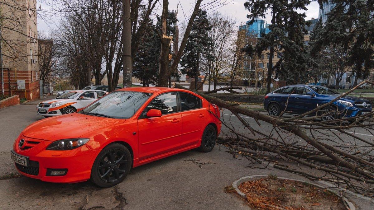 В Днепре возле памятника Славы ветка рухнула на припаркованную Mazda