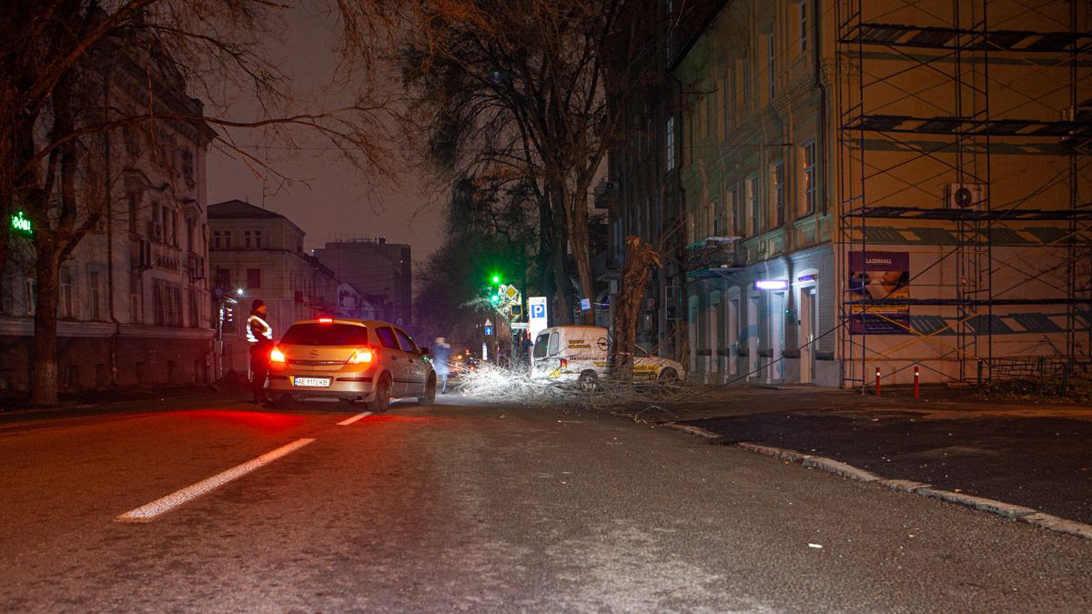 В Днепре на Сечевых Стрельцов ветки рухнули на проезжую часть и оборвали провода