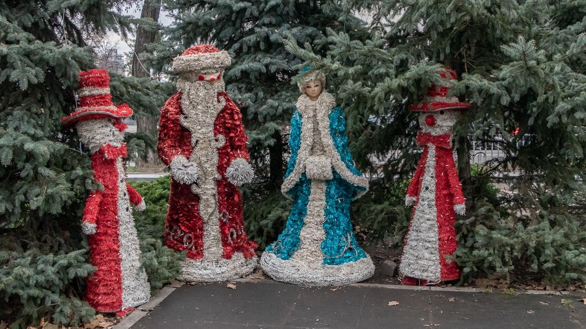 Суровое детство в Днепре: где найти страдающих новогодних животных