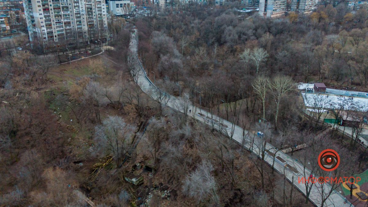 В Днепре в парке "Зеленый Гай" нашли человеческую кость и череп