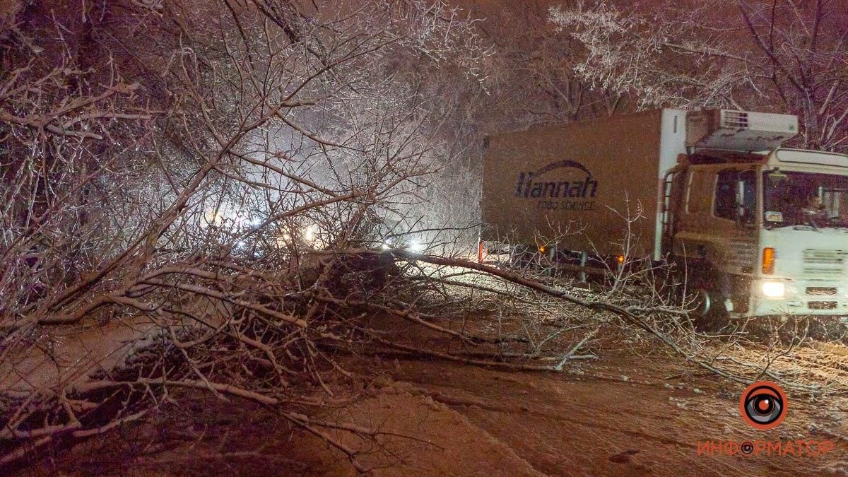 Узнай, сколько деревьев упало в Днепре во время непогоды