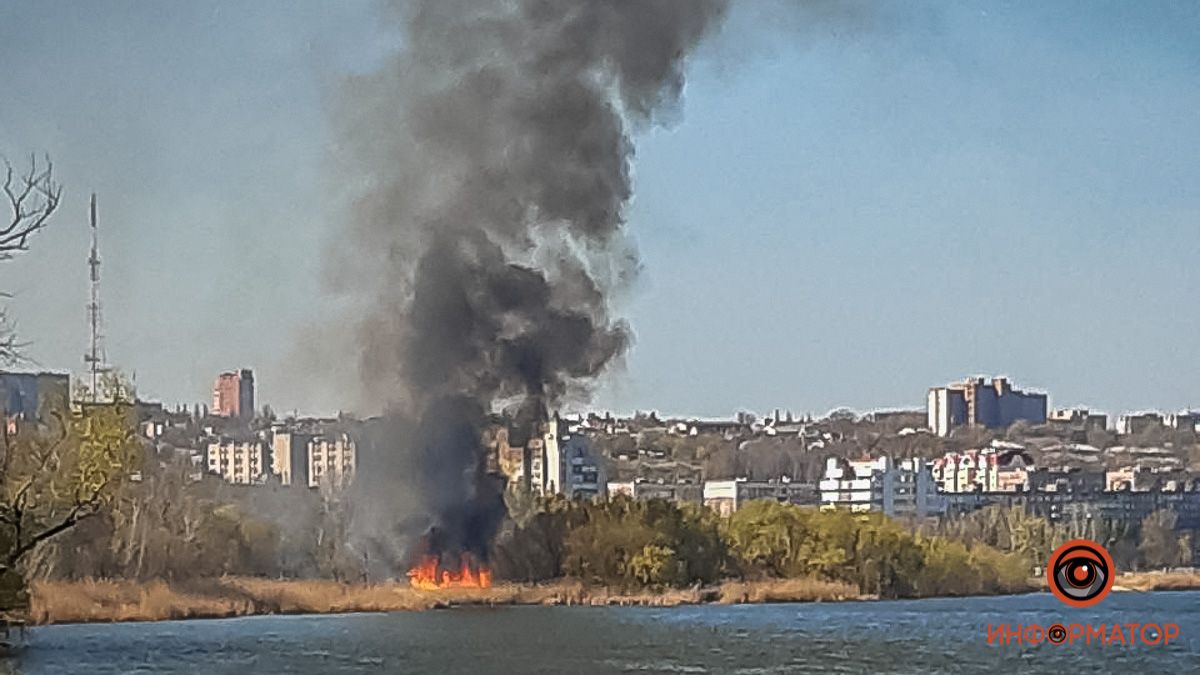 В Днепре на Победе горел камыш: погибли птицы и грызуны