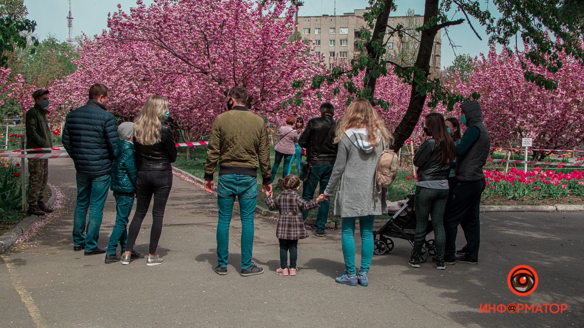 В Днепре на карантине выстраиваются очереди, чтобы сделать фото в сакурах