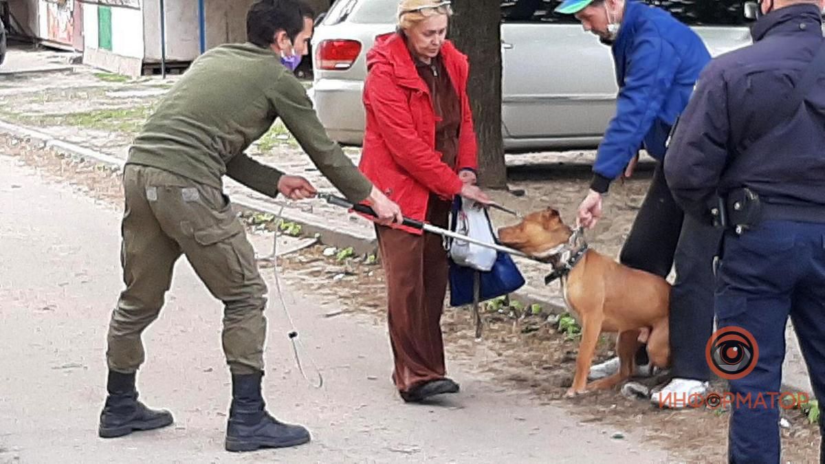 В Днепре собака сорвалась с поводка, напала на 11-летнего мальчика и разодрала ногу полицейскому