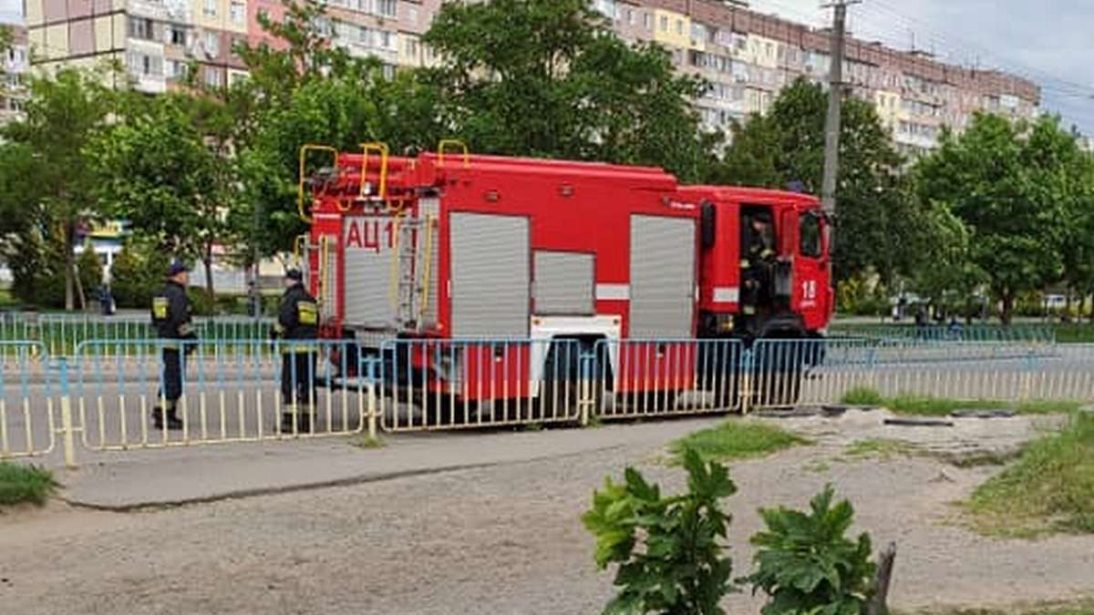 В Днепре на проспекте Мира дважды снимали котенка с дерева