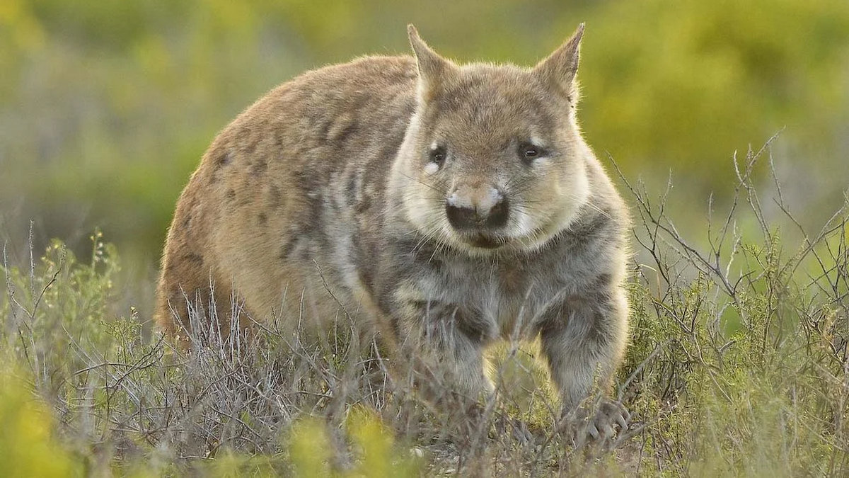 22 мая: какой сегодня праздник