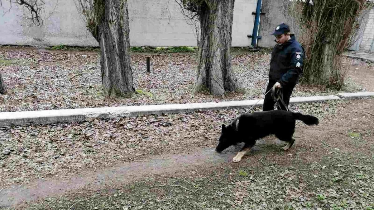 Под Днепром всю ночь искали 7-летнего мальчика