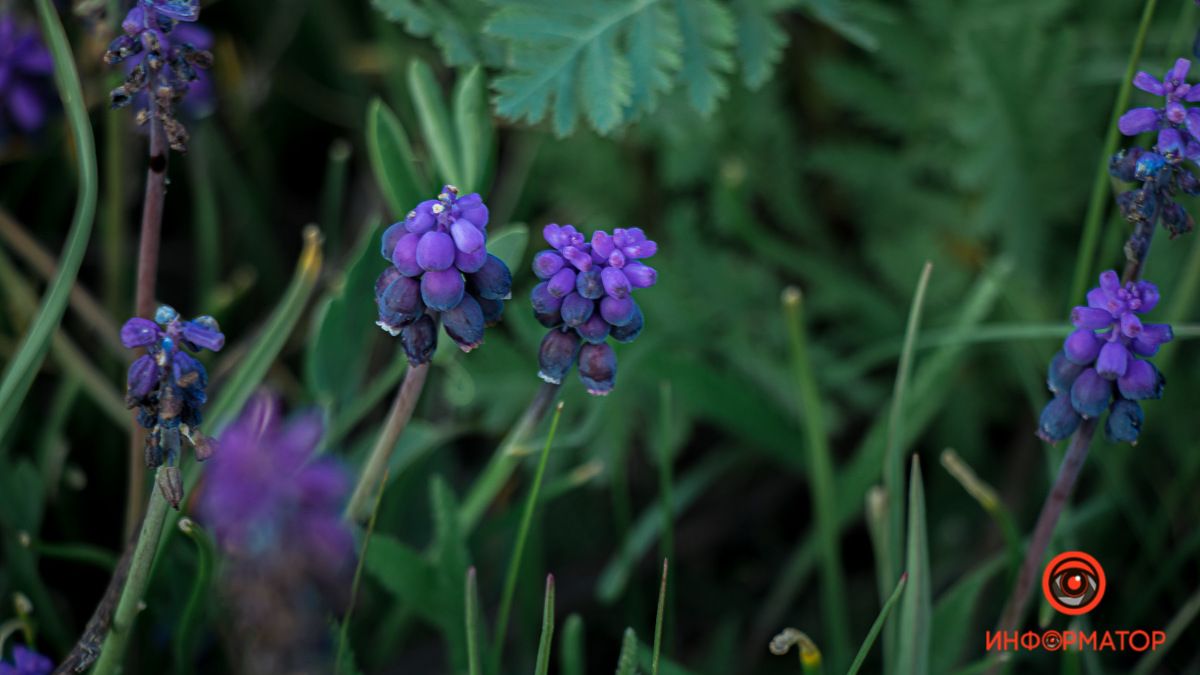 1 июня: куда пойти сегодня