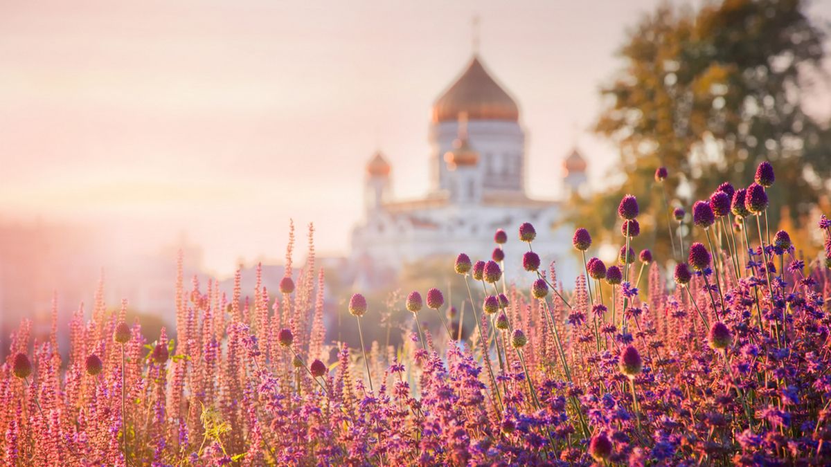 7 июня: какой сегодня праздник