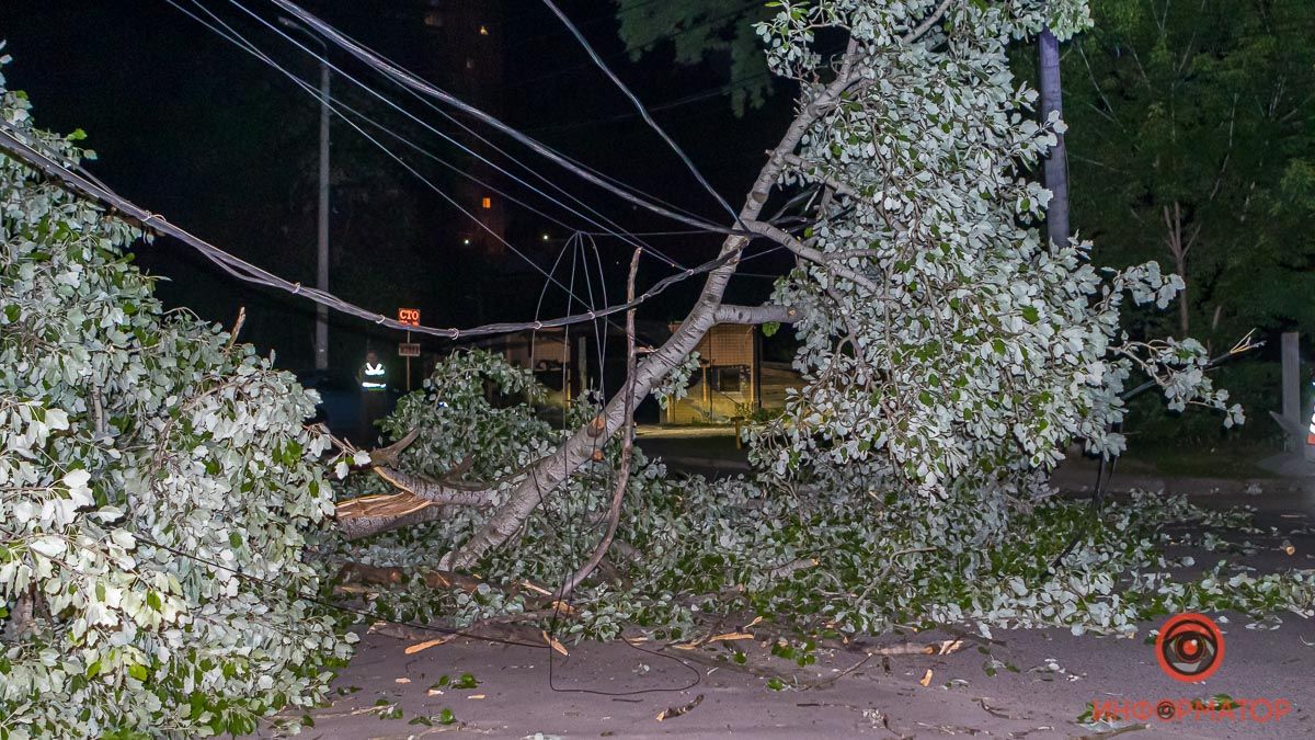 В Днепре на Южной улице упало дерево и обрушилась электроопора