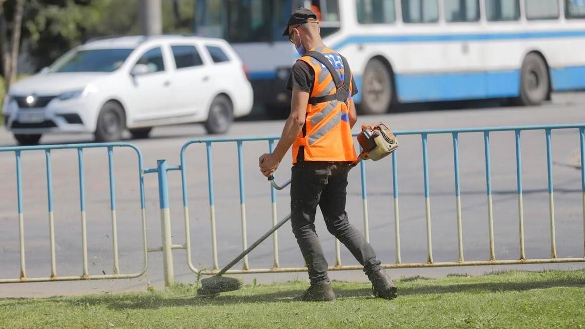 Коммунальщики Днепра вышли на тропу войны с амброзией