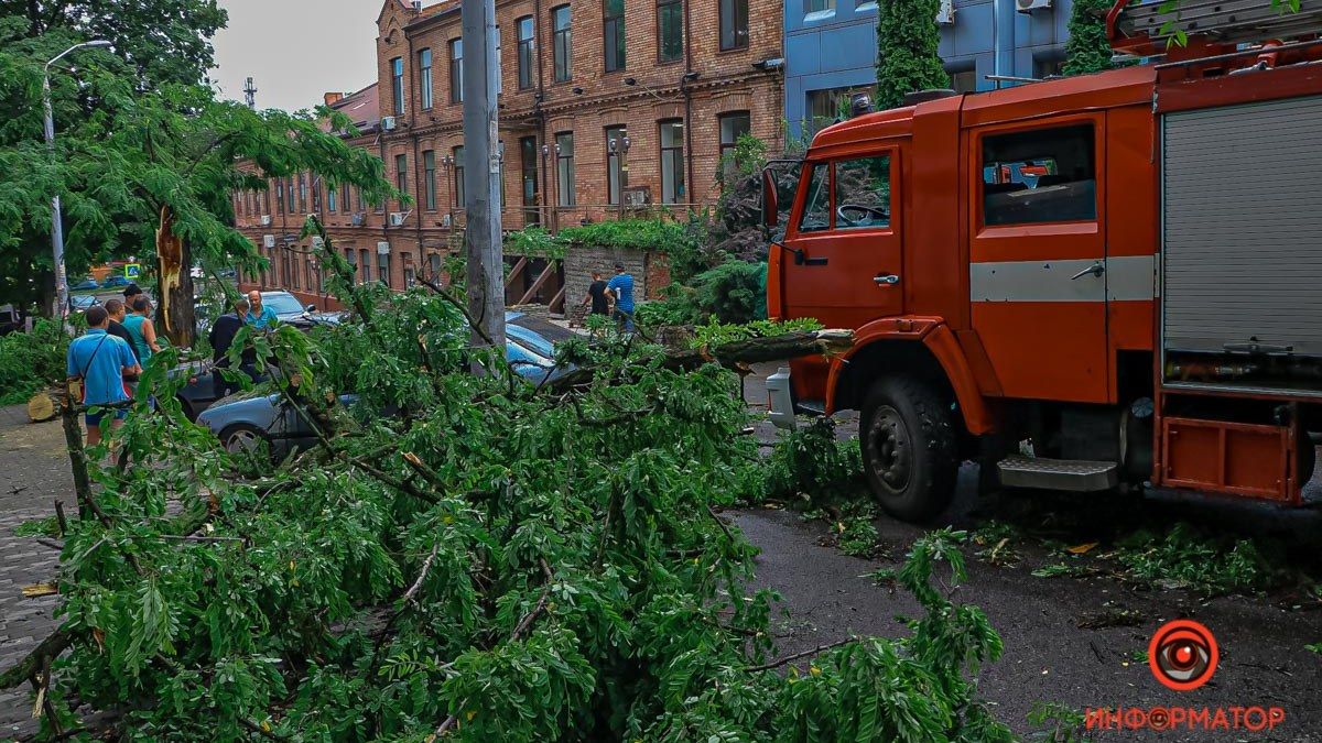 В Днепре на Ушинского дерево рухнуло на Daewoo и Mercedes