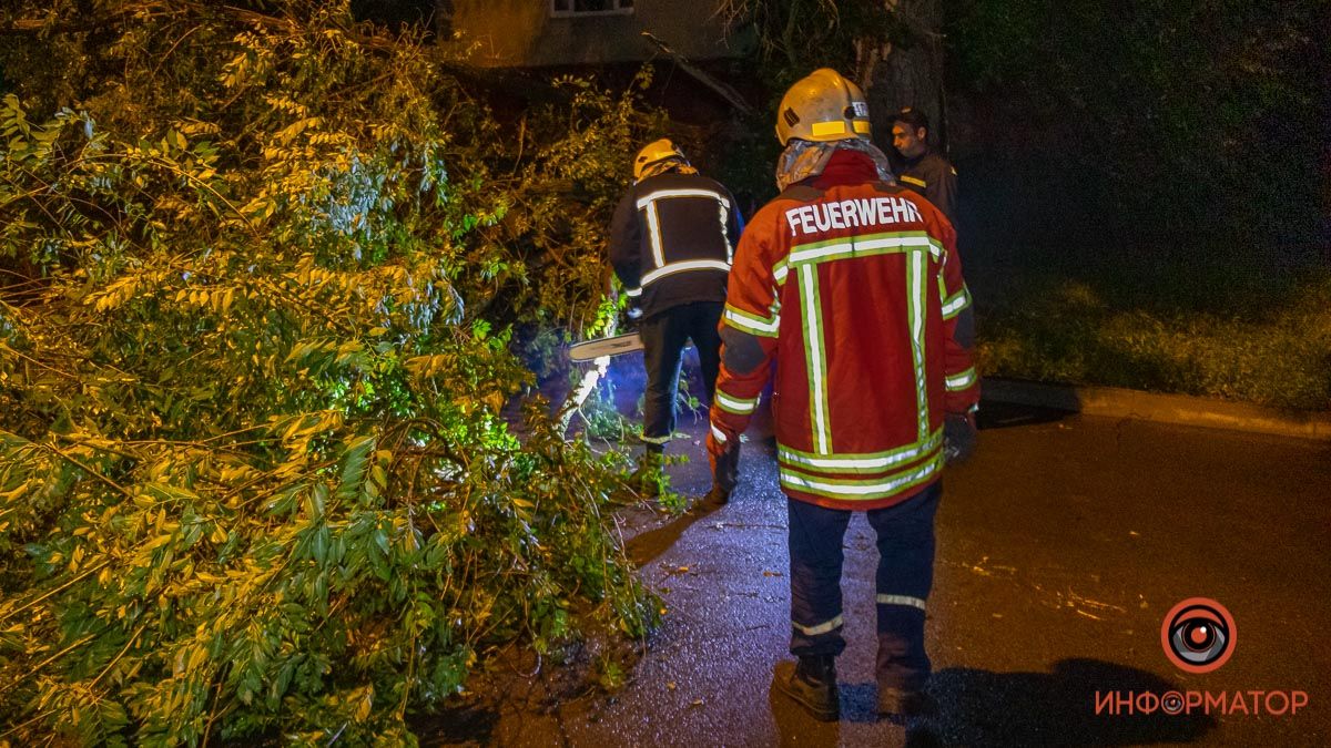 В Днепре на улице Казака Мамая дерево упало на дорогу