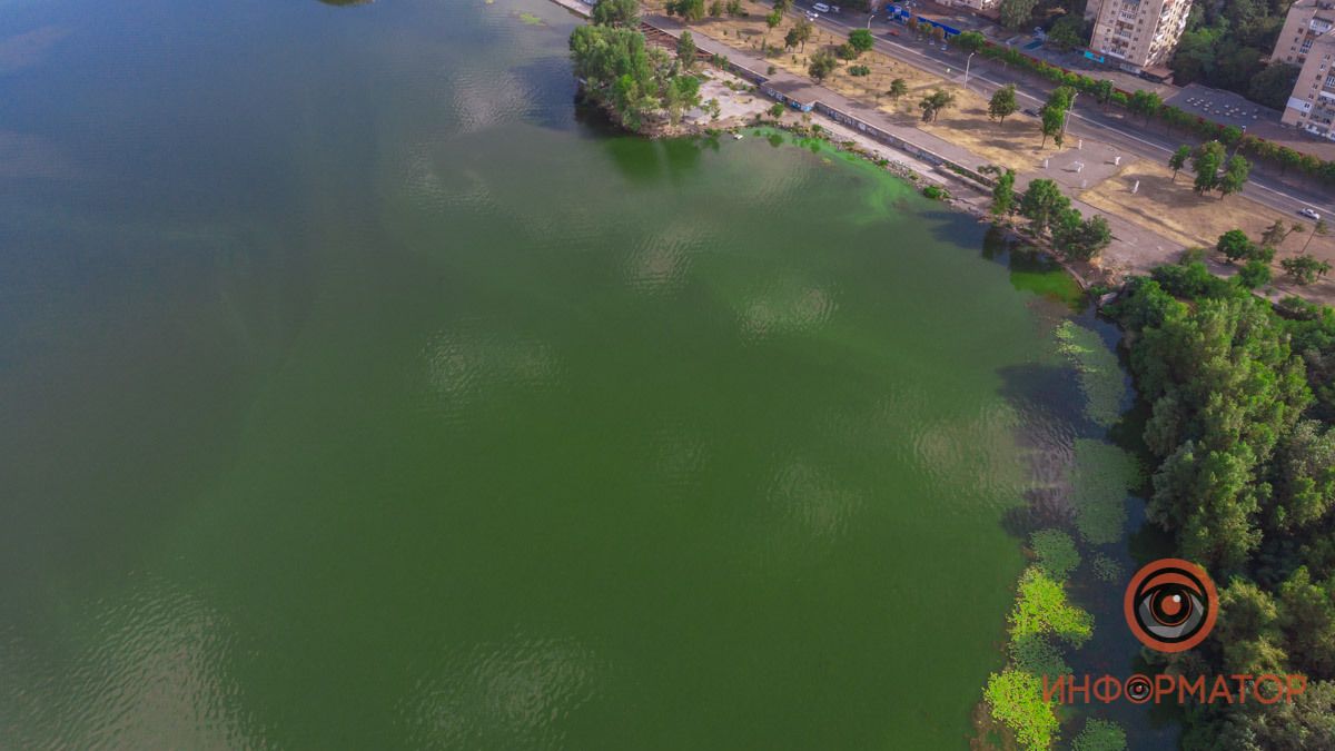 Река Днепр зацвела и покрылась пеной