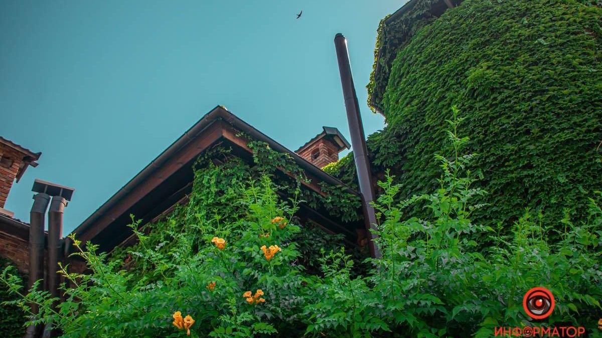 Если бы у Днепра был Instagram: ТОП красивых фотографий города