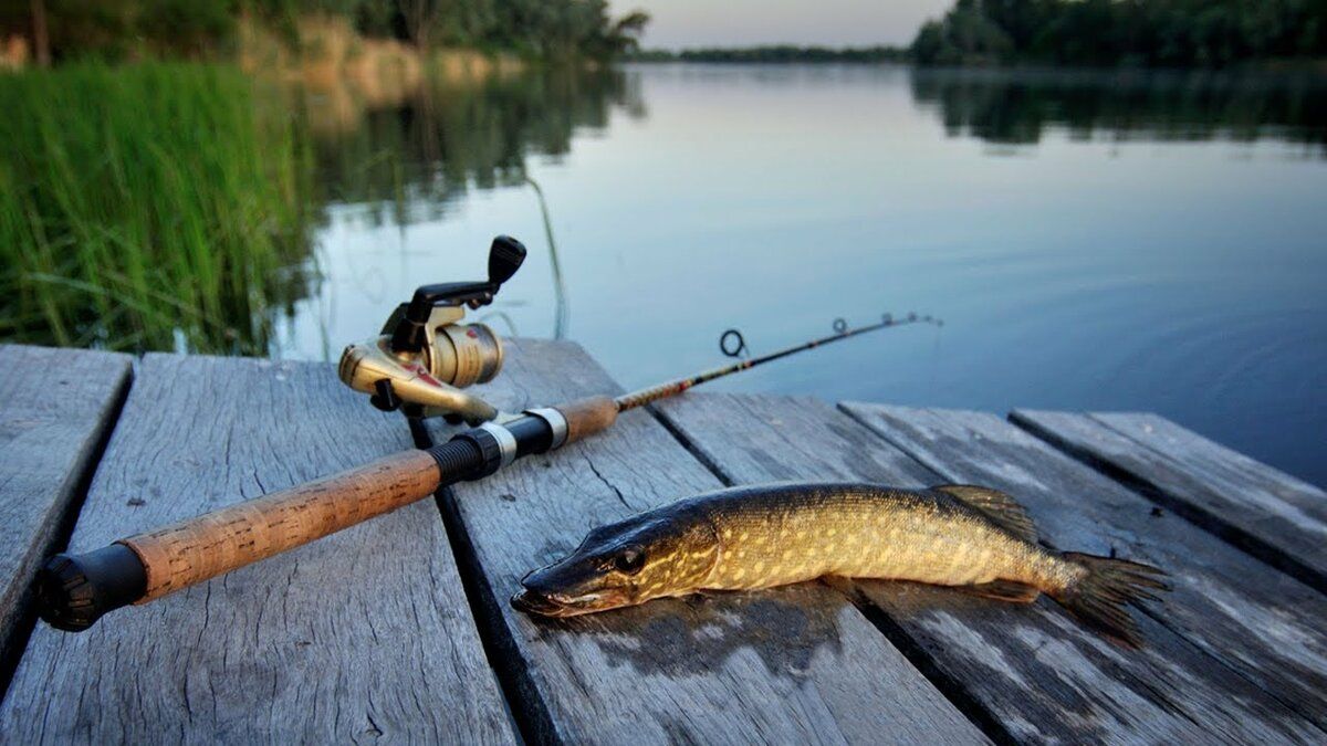 12 июля: какой сегодня праздник