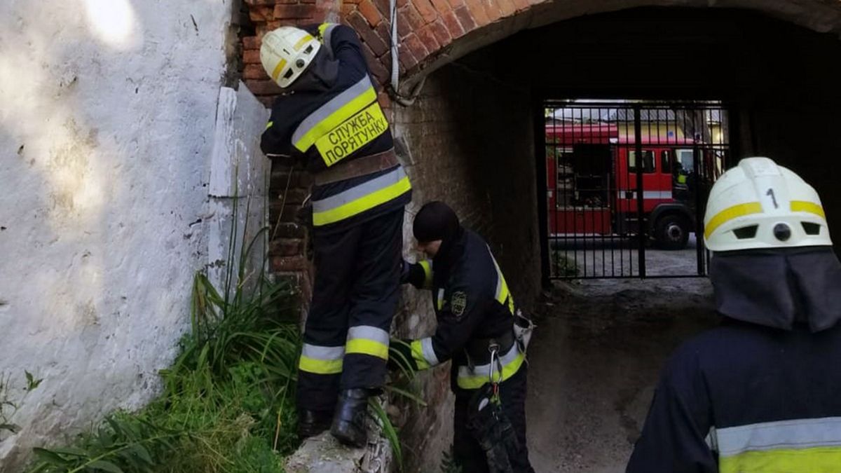 В Днепре на Гоголя спасатели освободили птенца из ловушки