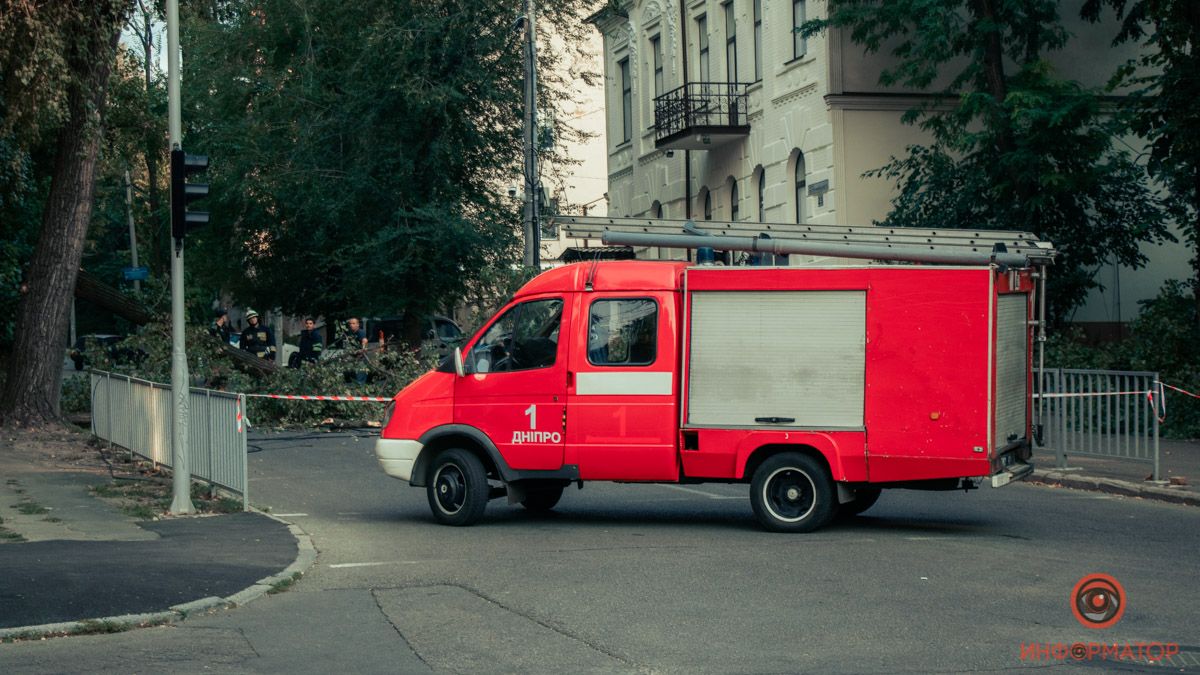В Днепре на Гоголя дерево упало на дорогу: проезд перекрыт