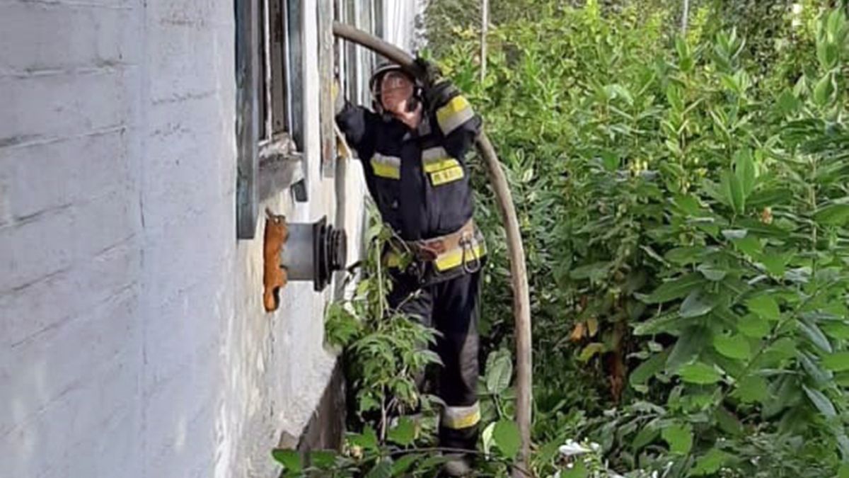 В Днепре в горящем доме нашли труп женщины
