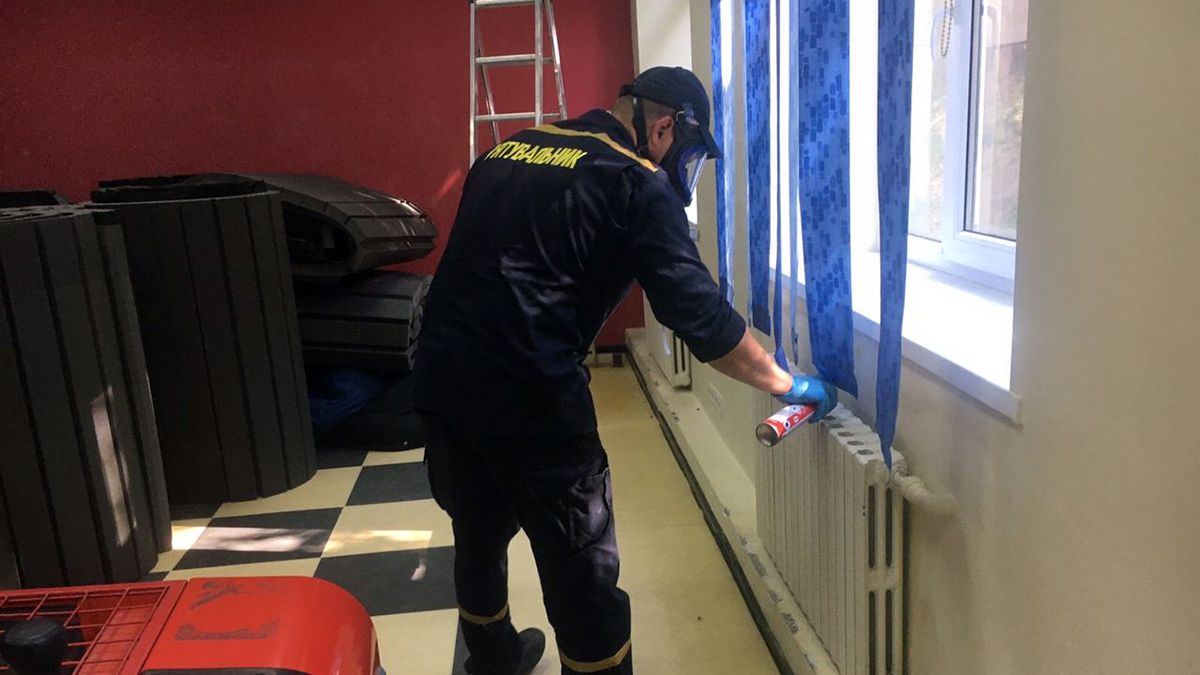 В центре Днепра рой пчел поселился в классе учебного заведения