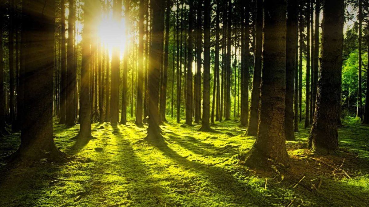 20 сентября: какой сегодня день