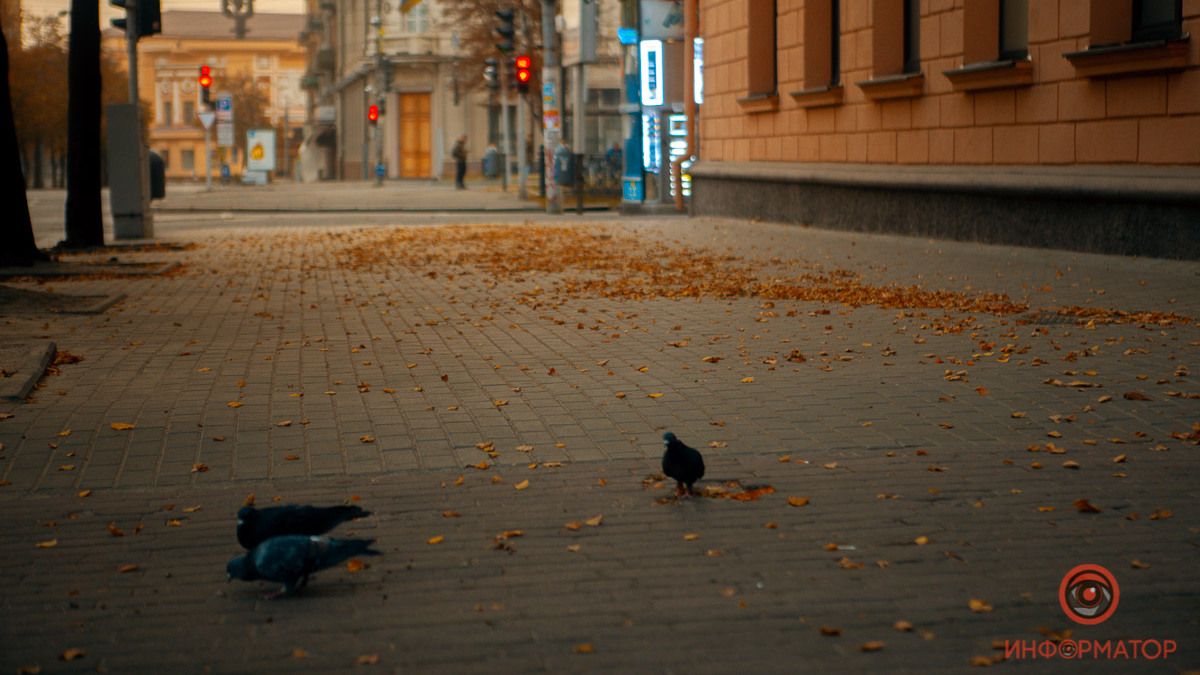 Теплая погода, мотокросс и операция "Пушистик": ТОП хороших новостей недели