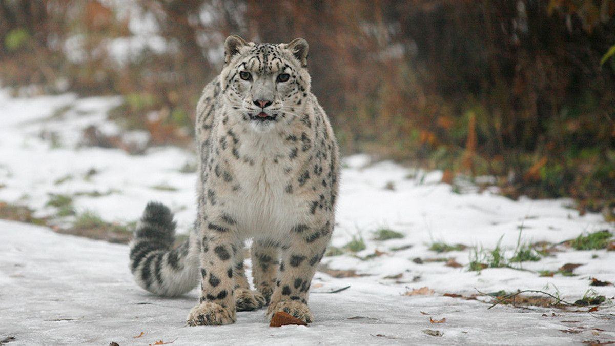 23 октября: какой сегодня праздник
