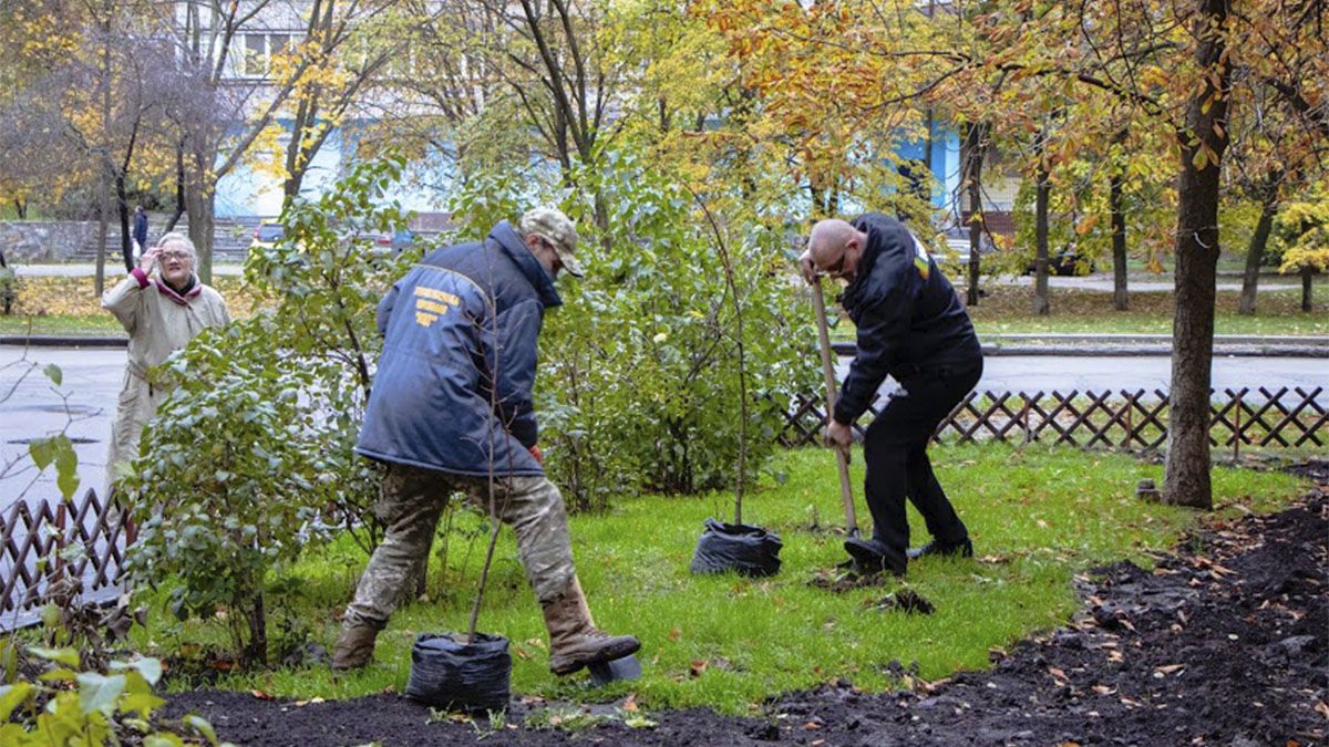 В Днепре во дворах жилых домов продолжают высаживать новые деревья