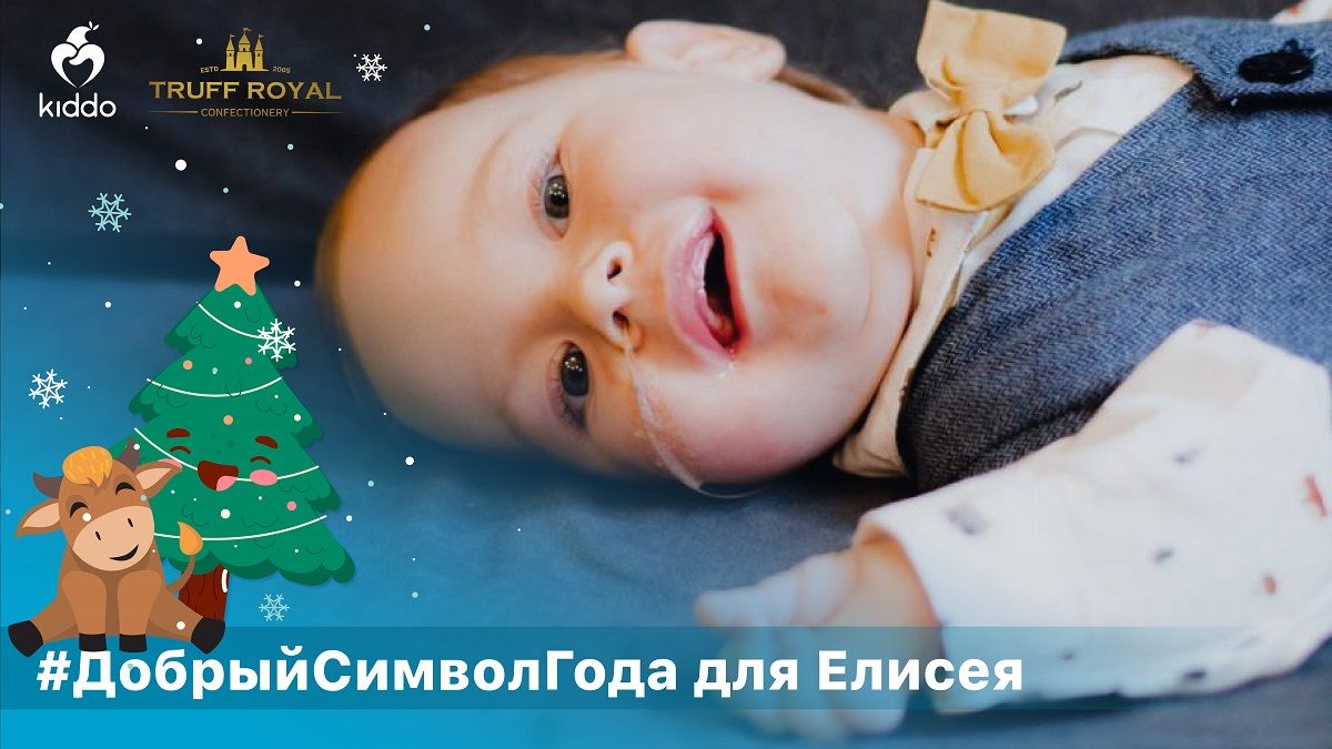 «Добрый символ года»: в Днепре можно купить шоколадного быка и помочь Елисею со спинально-мышечной атрофией