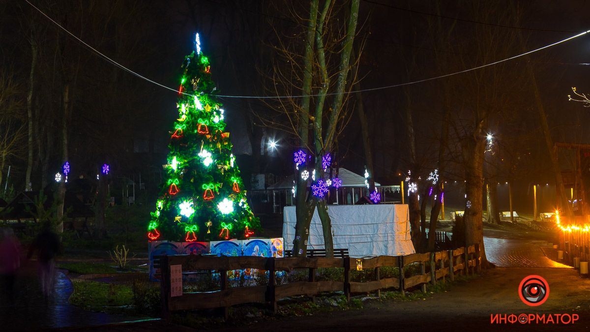 В Днепре в парке "Зеленый гай" украсили елки: как они выглядят ночью