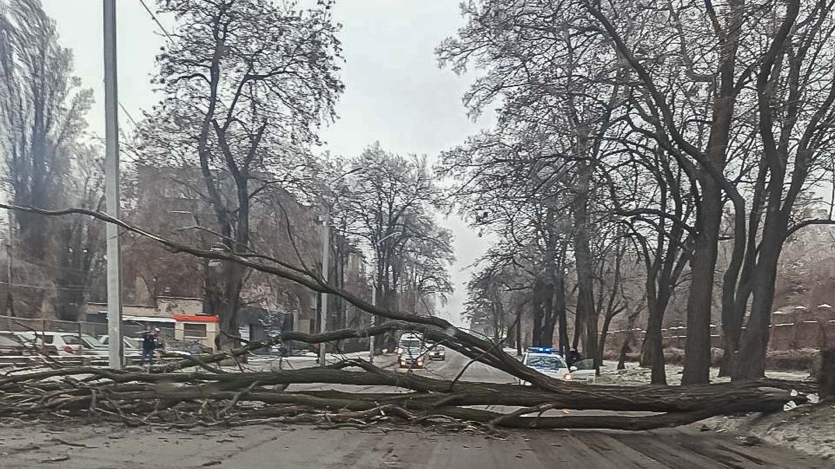 Последствия ледяного дождя в Днепре: хроника непогоды