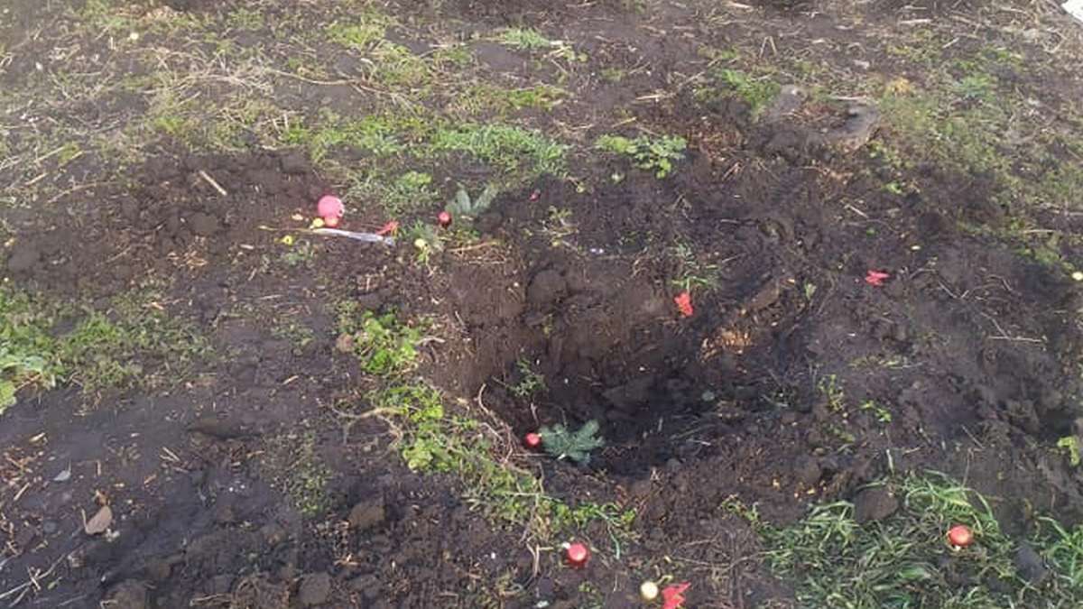 В Днепре во дворе частного дома ночью выкопали и украли ель