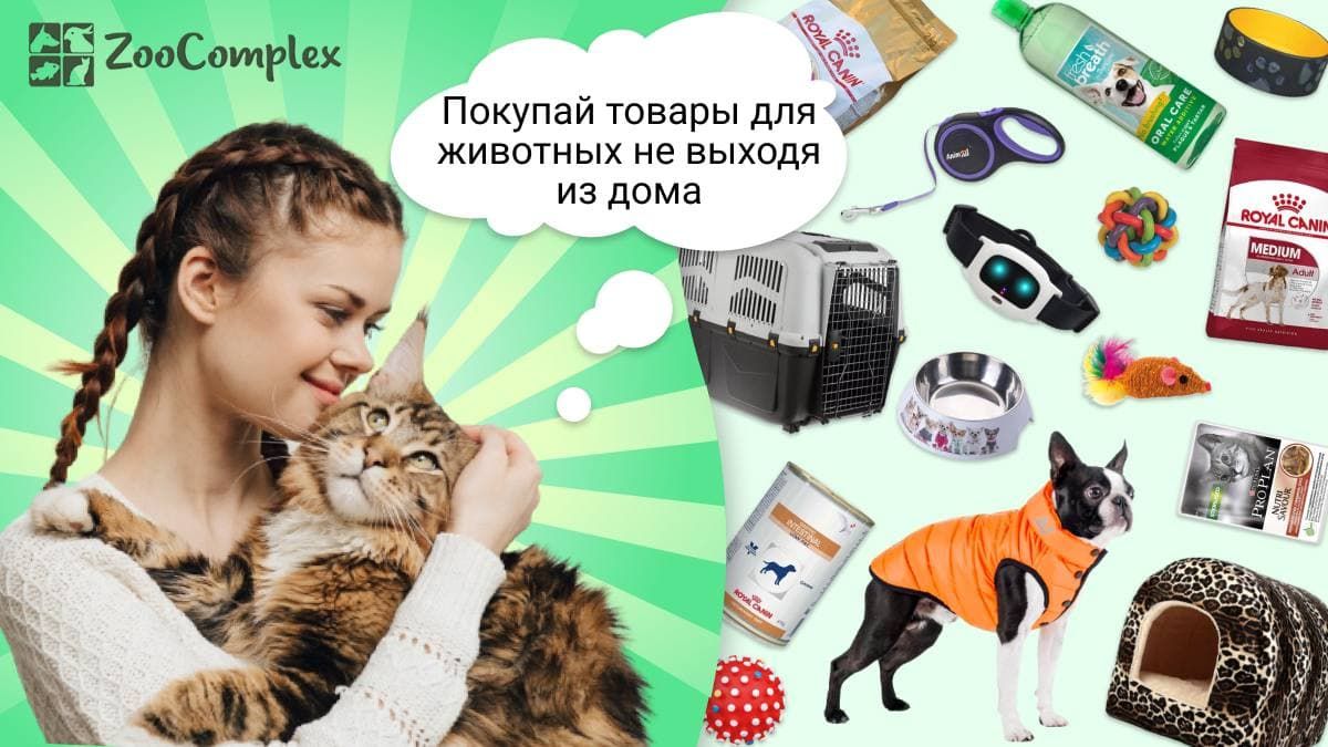 Как в Днепре покупать товары для животных, не выходя из дома