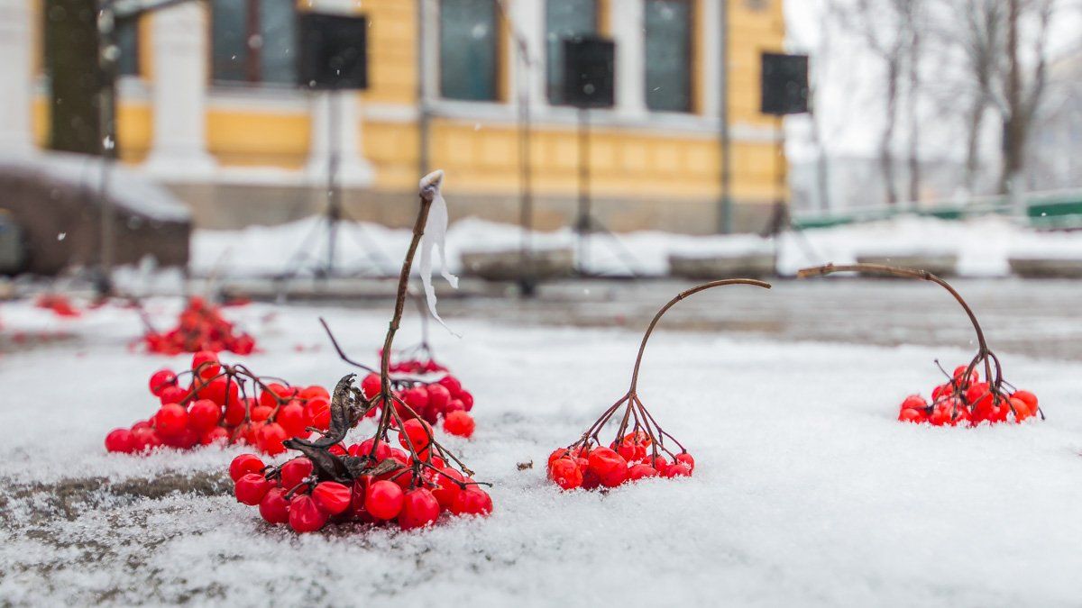29 января: какой сегодня день