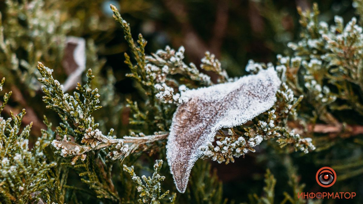В Днепр вернутся снег и морозы