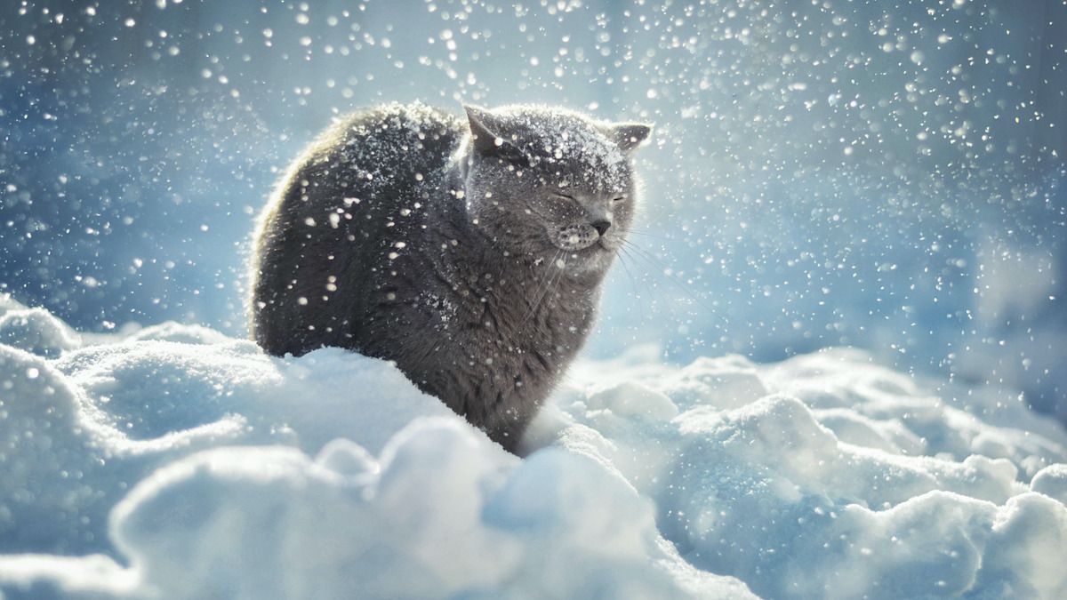 Погода на 18 февраля: в Днепре будут тучи и небольшой снегопад
