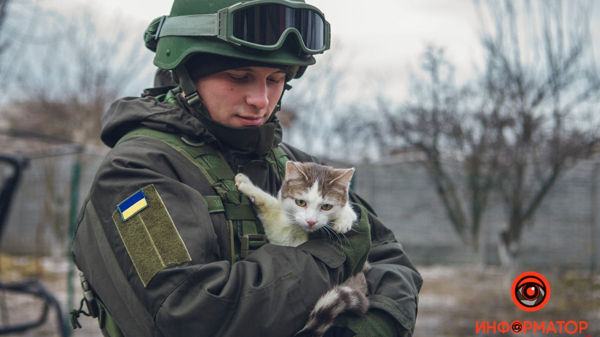 Военные, полицейские и спасатели снялись в фотосессии с бездомными животными в Днепре: классные фото