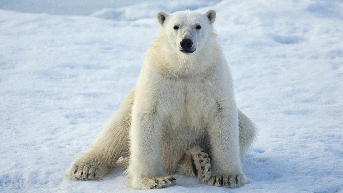 27 февраля: какой сегодня день