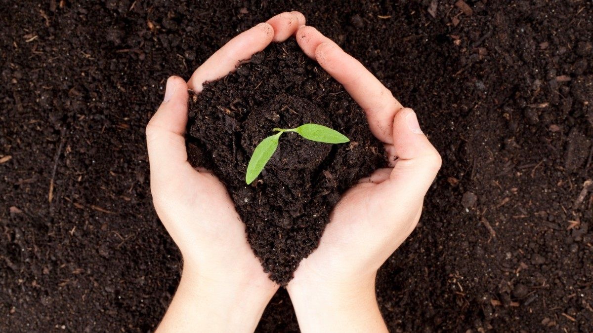 13 марта: какой сегодня праздник