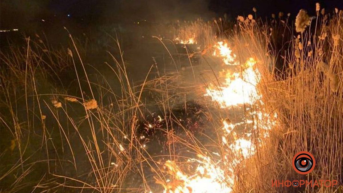 По Днепру вспыхнули несколько масштабных пожаров: видео