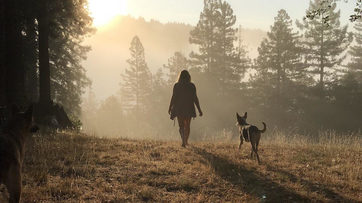 21 марта: какой сегодня праздник