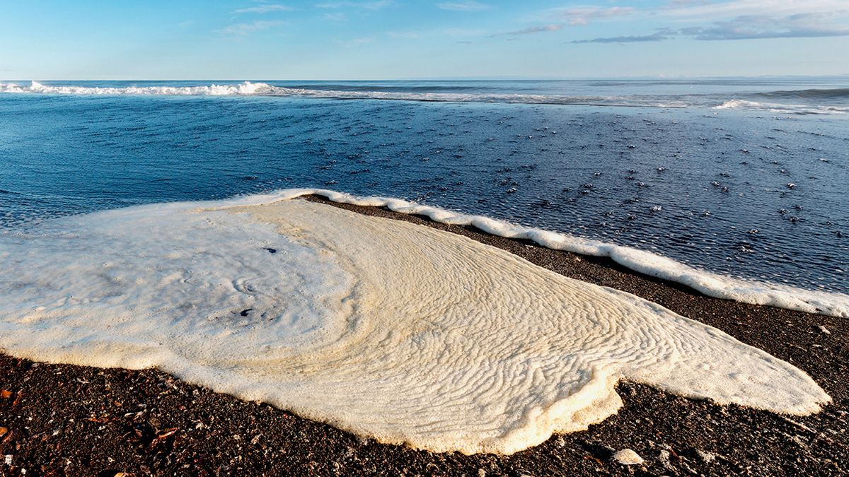 22 марта: какой сегодня день