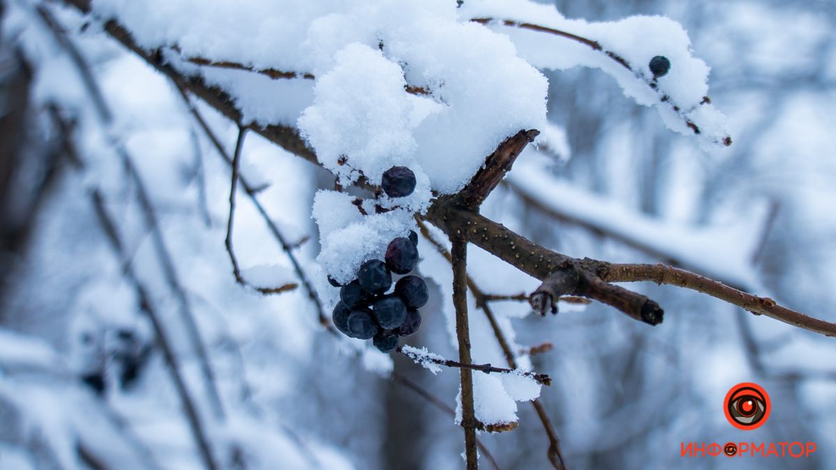 Топ фото весеннего снега от жителей Днепра в Instagram