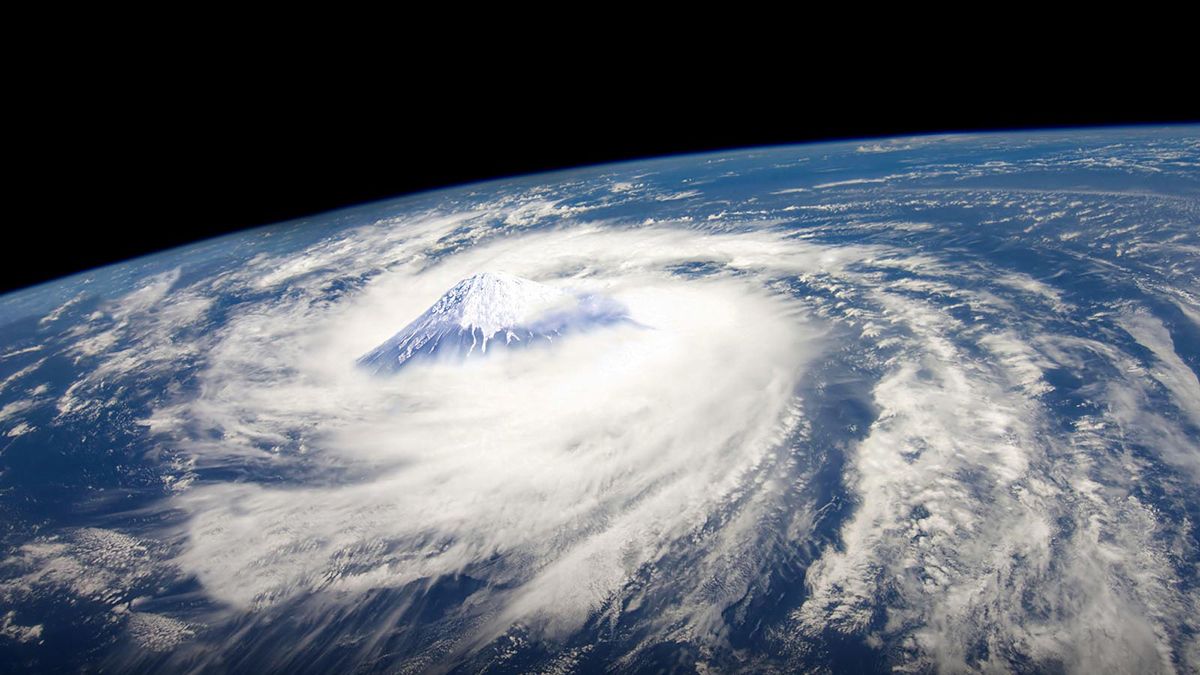 Что такое "Час Земли" и как это событие стало самой массовой акцией в истории человечества