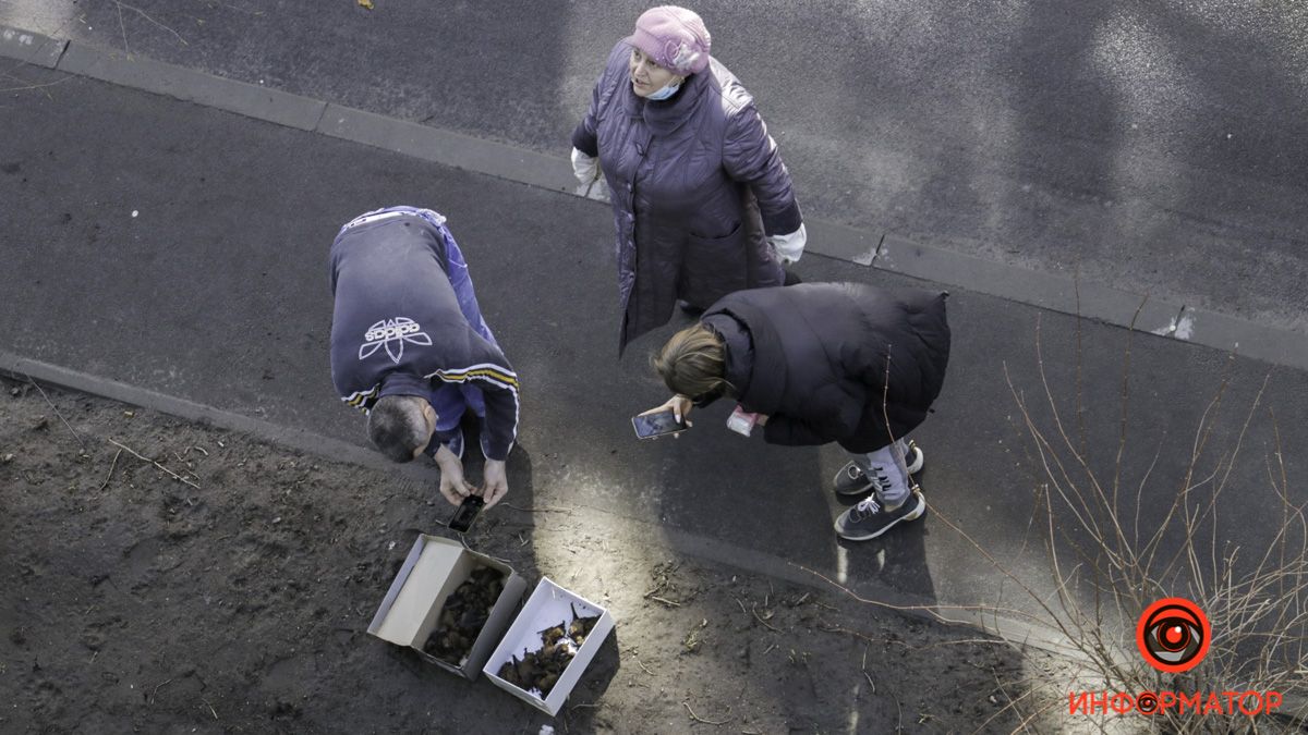 В Днепре мужчина выбросил летучих мышей с балкона: видео