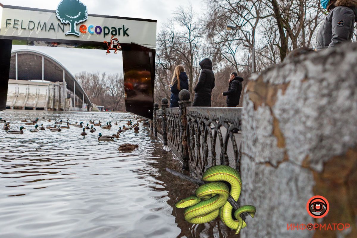 В Днепре вместо парка Глобы откроют серпентарий-филиал Фельдманского эко-парка