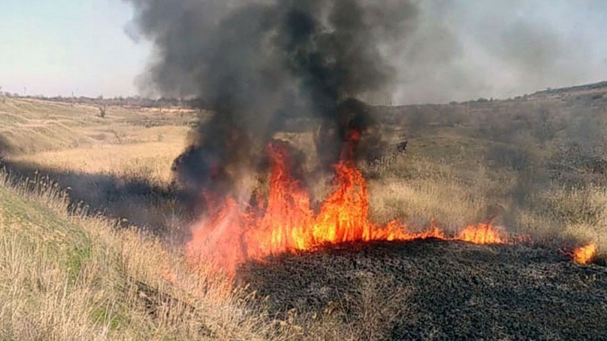 Пожар тушили несколько часов: в Днепропетровской области сгорели 4 гектара травы