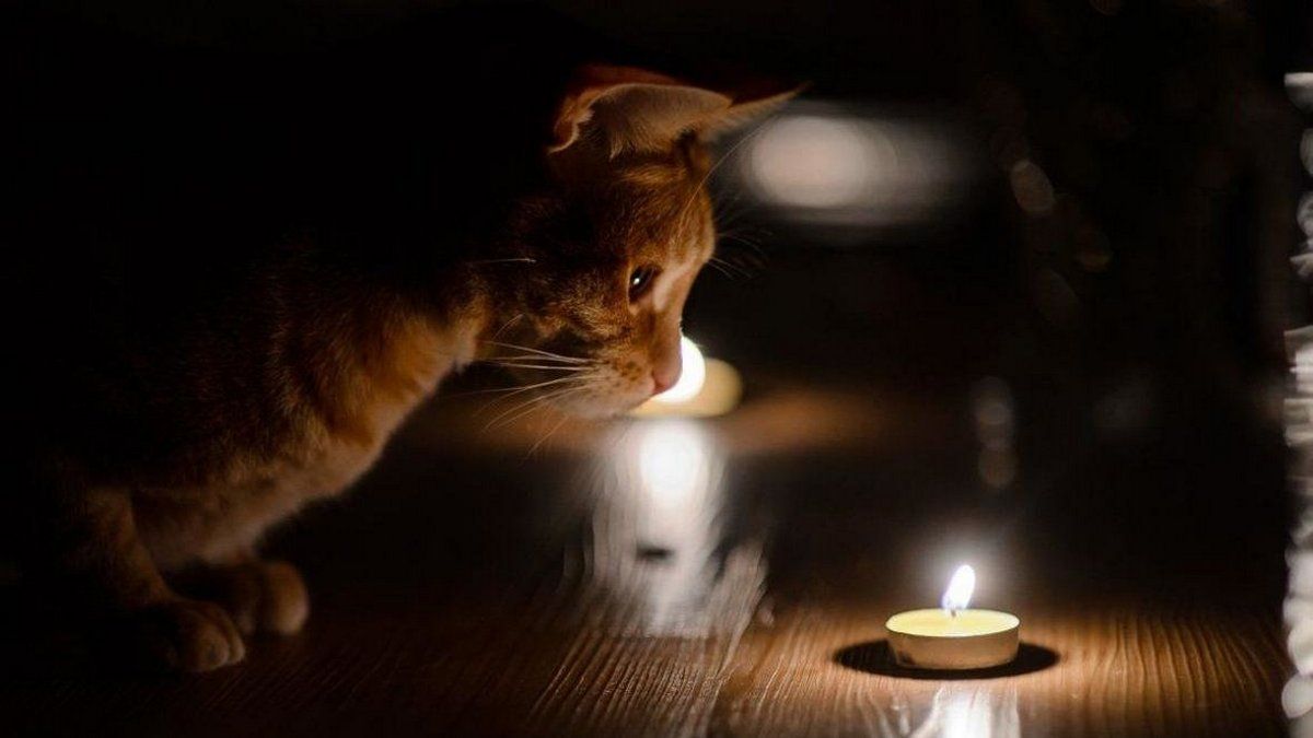 В четверг в шести районах Днепра может не быть света: список адресов